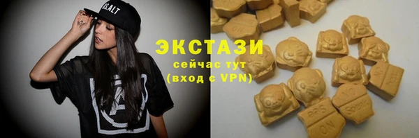 стафф Надым