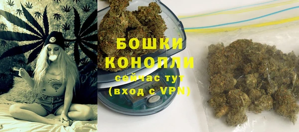 молекула духа Навашино
