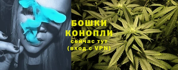 стафф Надым