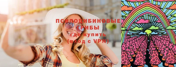 молекула духа Навашино
